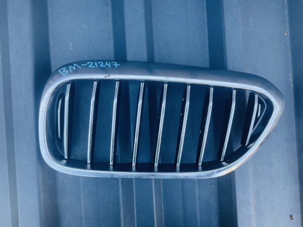 Bumper Grill BMW 5 G30 G31 7473699 Voorbumper radiatorgrill BM-21247