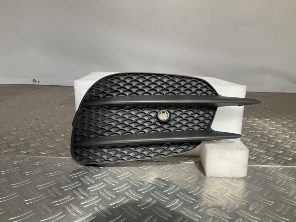 Bumper Rooster Mercedes E Klasse W213 AMG 16-21 A2138856800 Links Grill