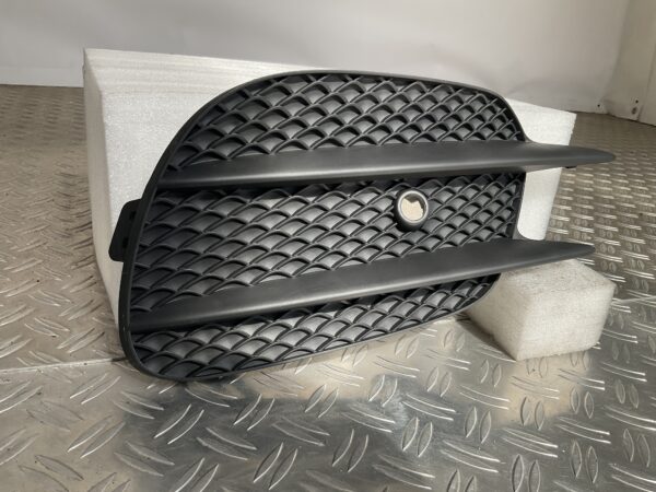 Bumper Rooster Mercedes E Klasse W213 AMG 16-21 A2138856800 Links Grill