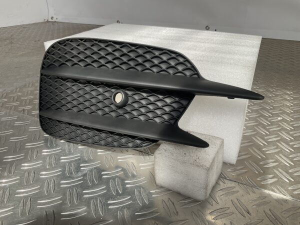 Bumper Rooster Mercedes E Klasse W213 AMG 16-21 A2138856800 Links Grill