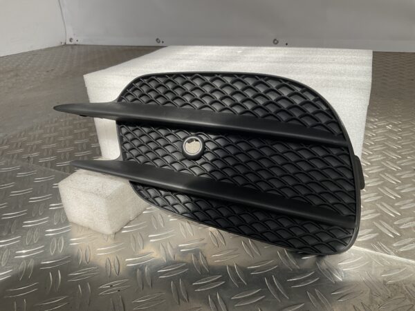 Bumper Rooster Mercedes E Klasse W213 AMG 16-21 A2138856700 Rechts Grill